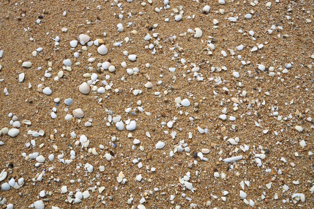 Apart@Costasantoandre Beach Santiago do Cacem Exterior photo