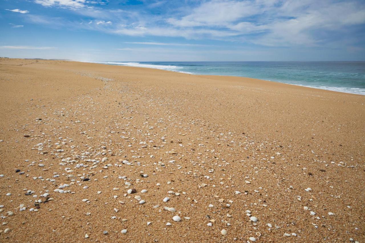 Apart@Costasantoandre Beach Santiago do Cacem Exterior photo